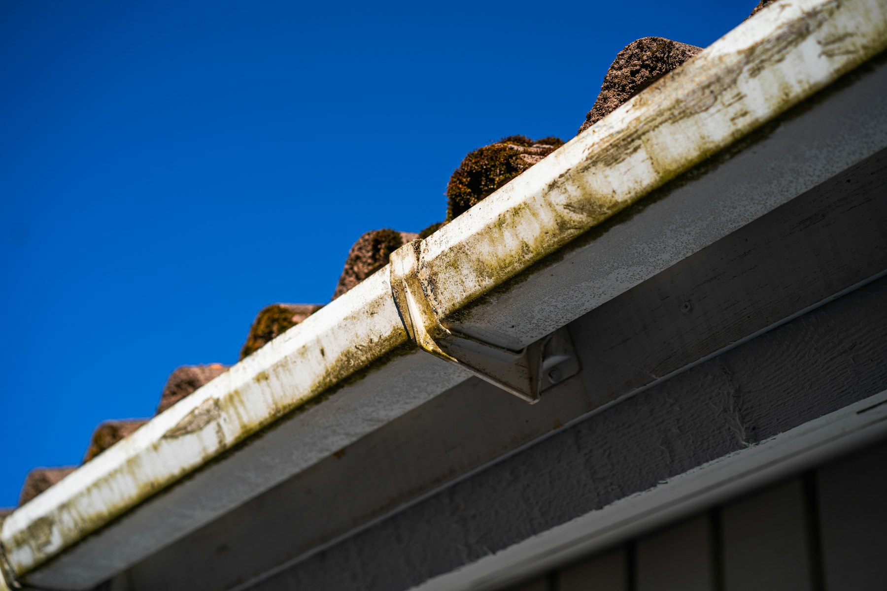 Gutters filled with leaves and debris on a roof